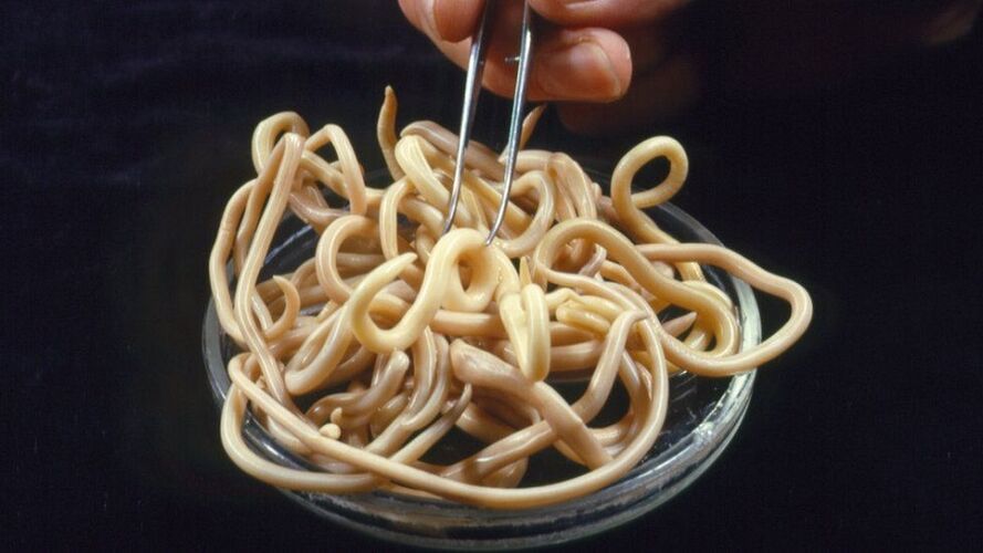 Parassiti del corpo umano